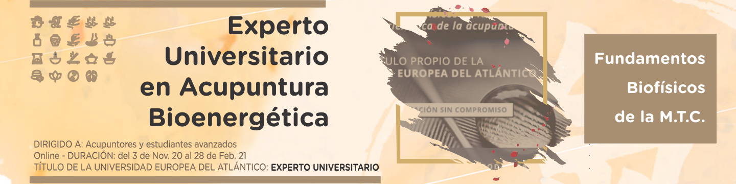 Experto Universitario en Acupuntura Bioenergética