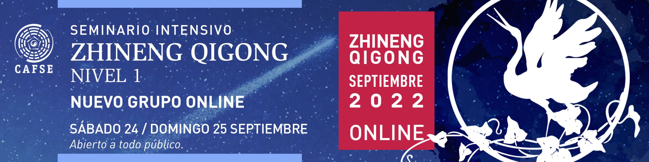 Seminario Intensivo ZhiNeng QiGong, Nivel 1